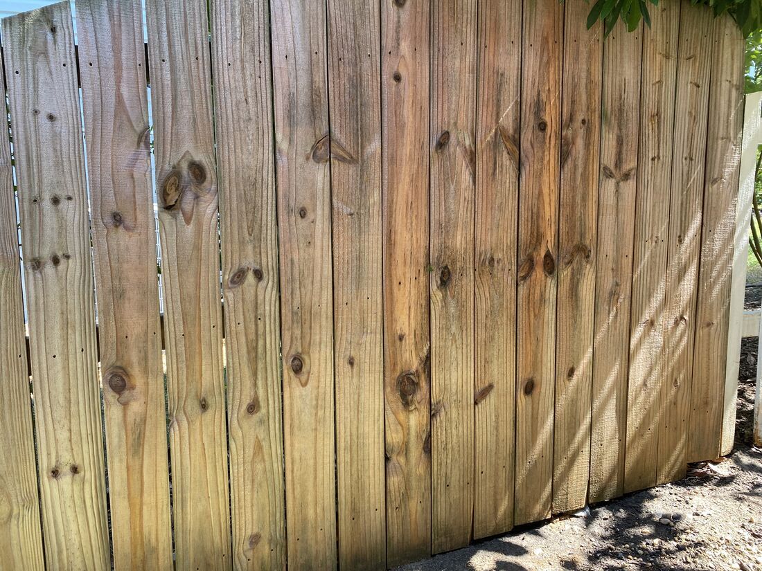 New cedar privacy fence ready for staining and sealing by ProCoats Painting Plus
